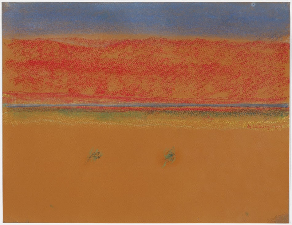 Richard Artschwager, Landscape, 2011