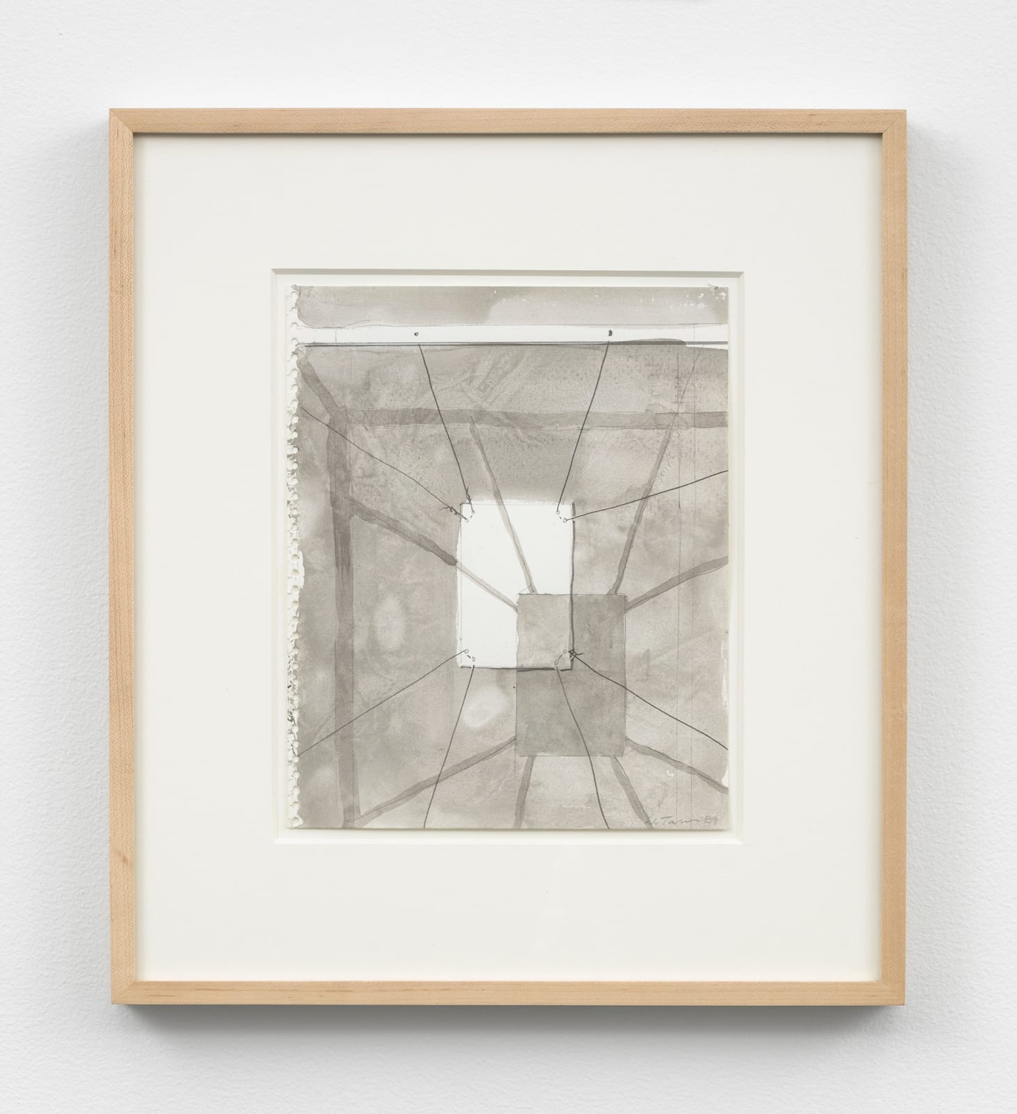 Al Taylor, Removal Device, 1989