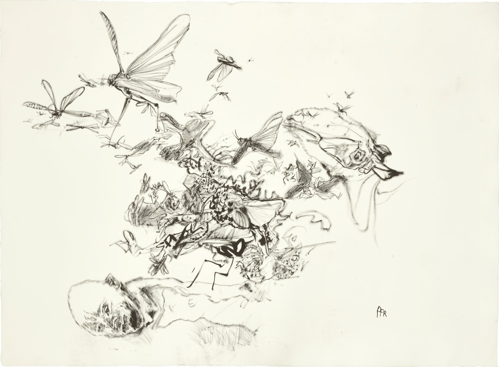 Erwin Pfrang, Untitled, 2023/24