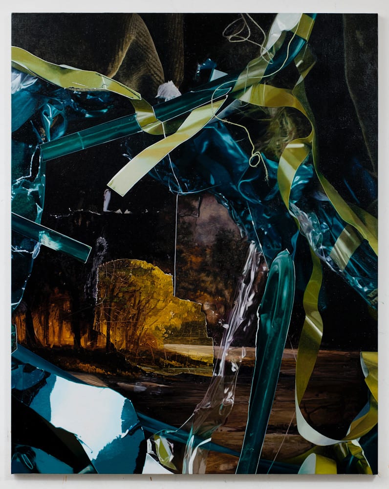 Neil Gall, Hanging Garden, 2011-12