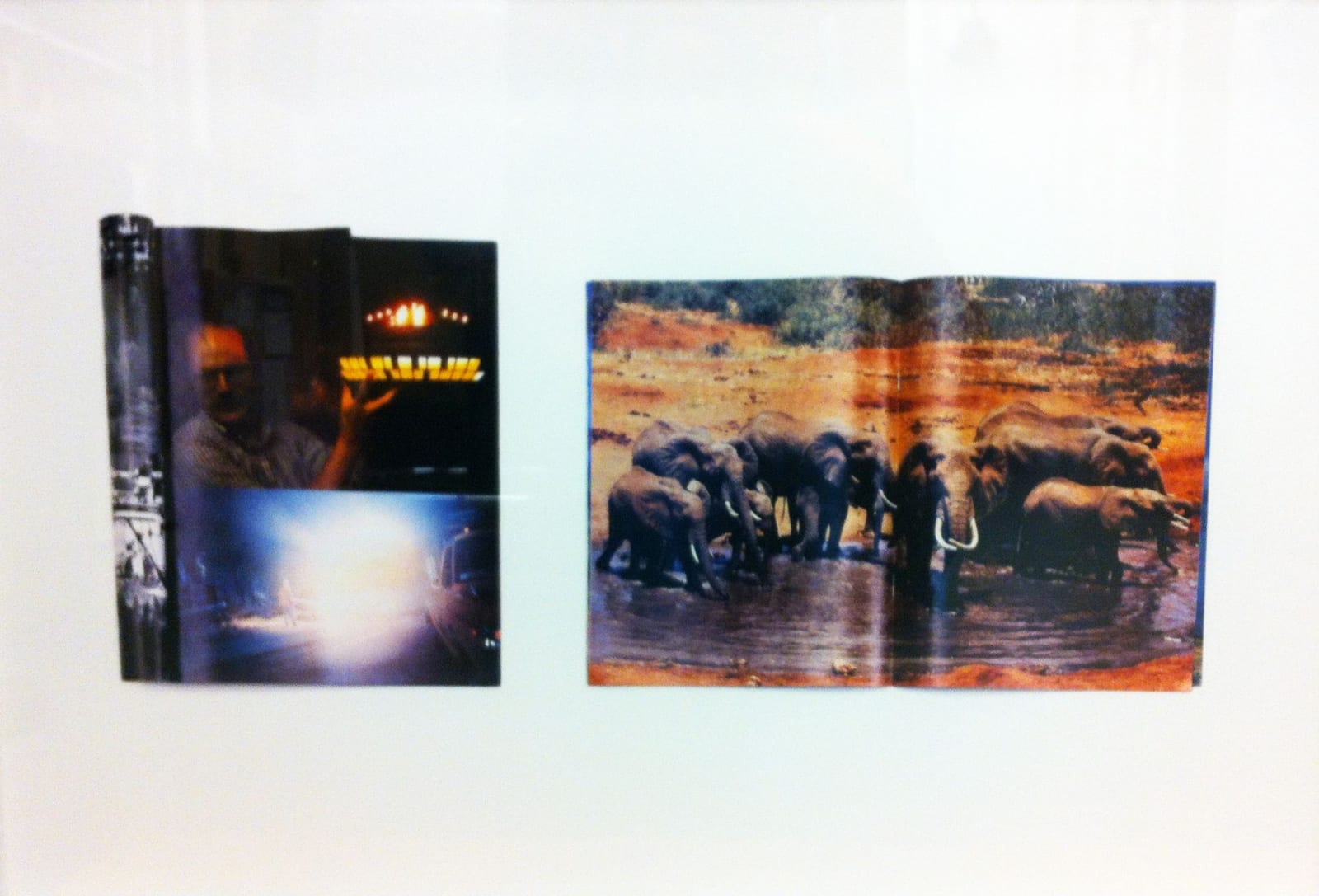 Peter Coffin, Untitled (UFO/Elephants), 2004