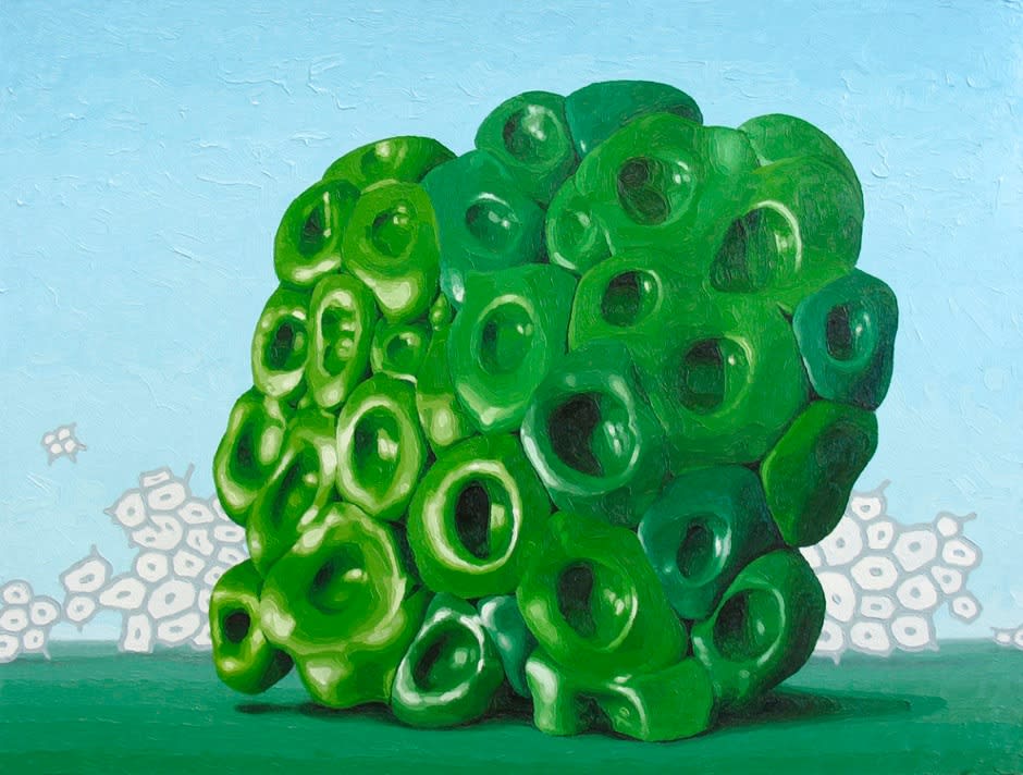 Alexander Ross, Untitled, 2011