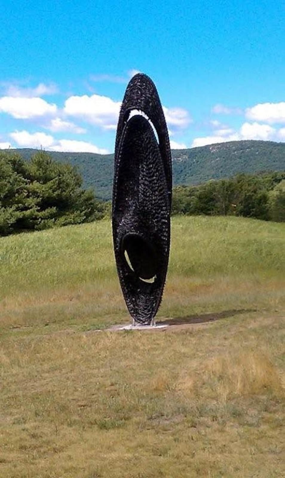 Chakaia Booker, Foci, 2010