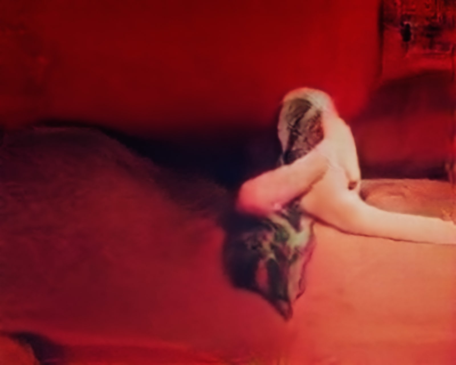 Trevor Paglen, Porn (Corpus: The Humans) Adversarially Evolved Hallucination, 2017