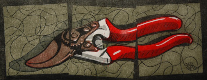 Steven Hubbard, Secateurs