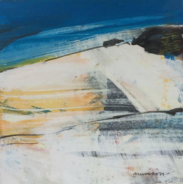 Neil Murison, Sunshine