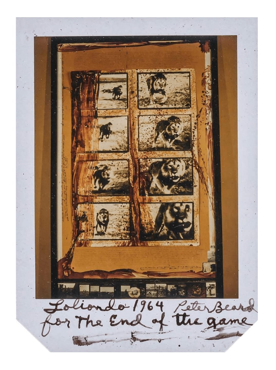Peter Beard, Loliondo, 1964 For the End of the Game, 1964