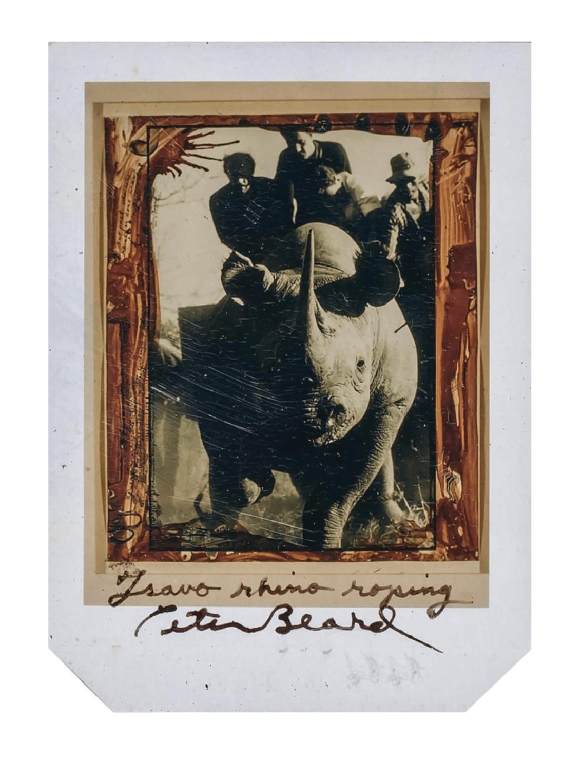 Peter Beard, Tsavo Rhino Roping, c. 1964