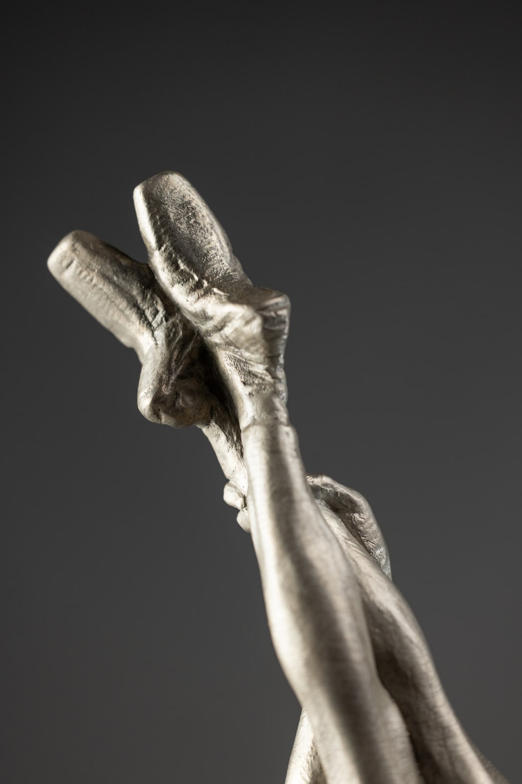 Richard MacDonald, Doves, Atelier, Platinum, 2023