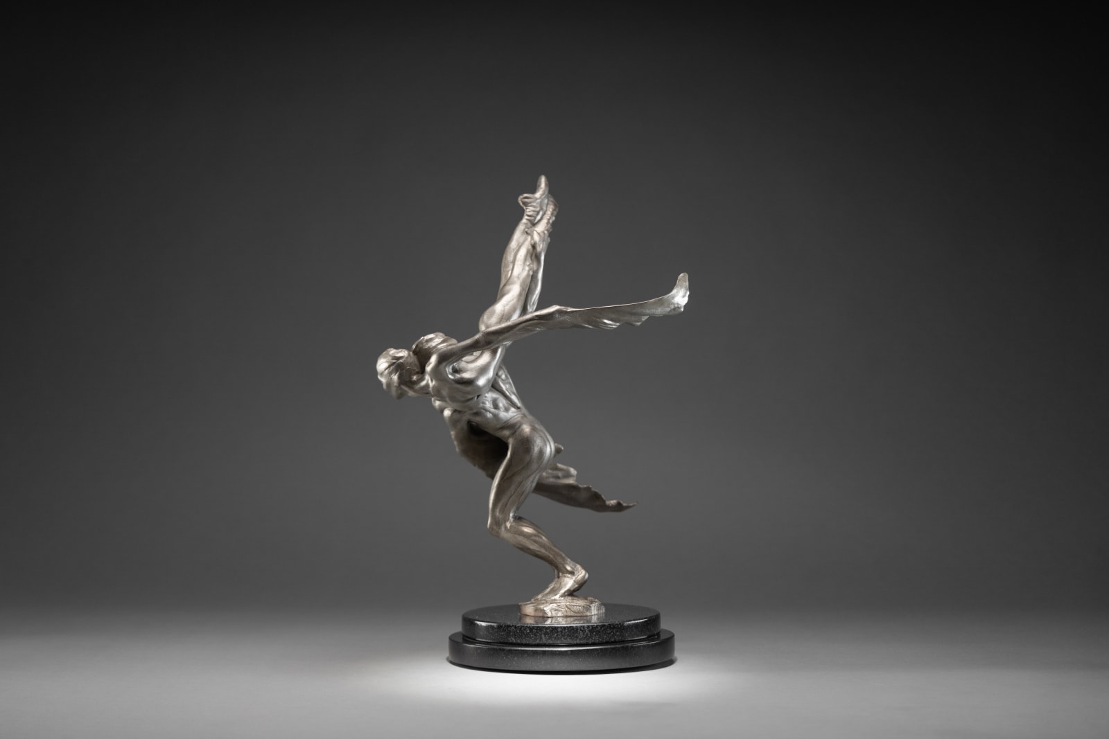 Richard MacDonald, Doves, Atelier, Platinum, 2023