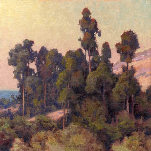 Jim Lamb, Coastal Grove- Eucalyptus, 2013