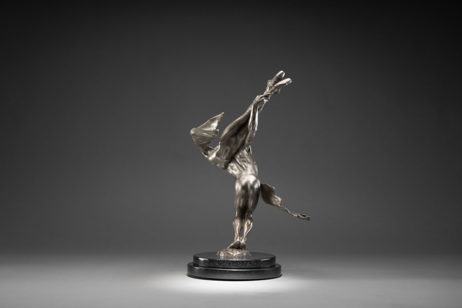 Richard MacDonald, Doves, Atelier, Platinum, 2023
