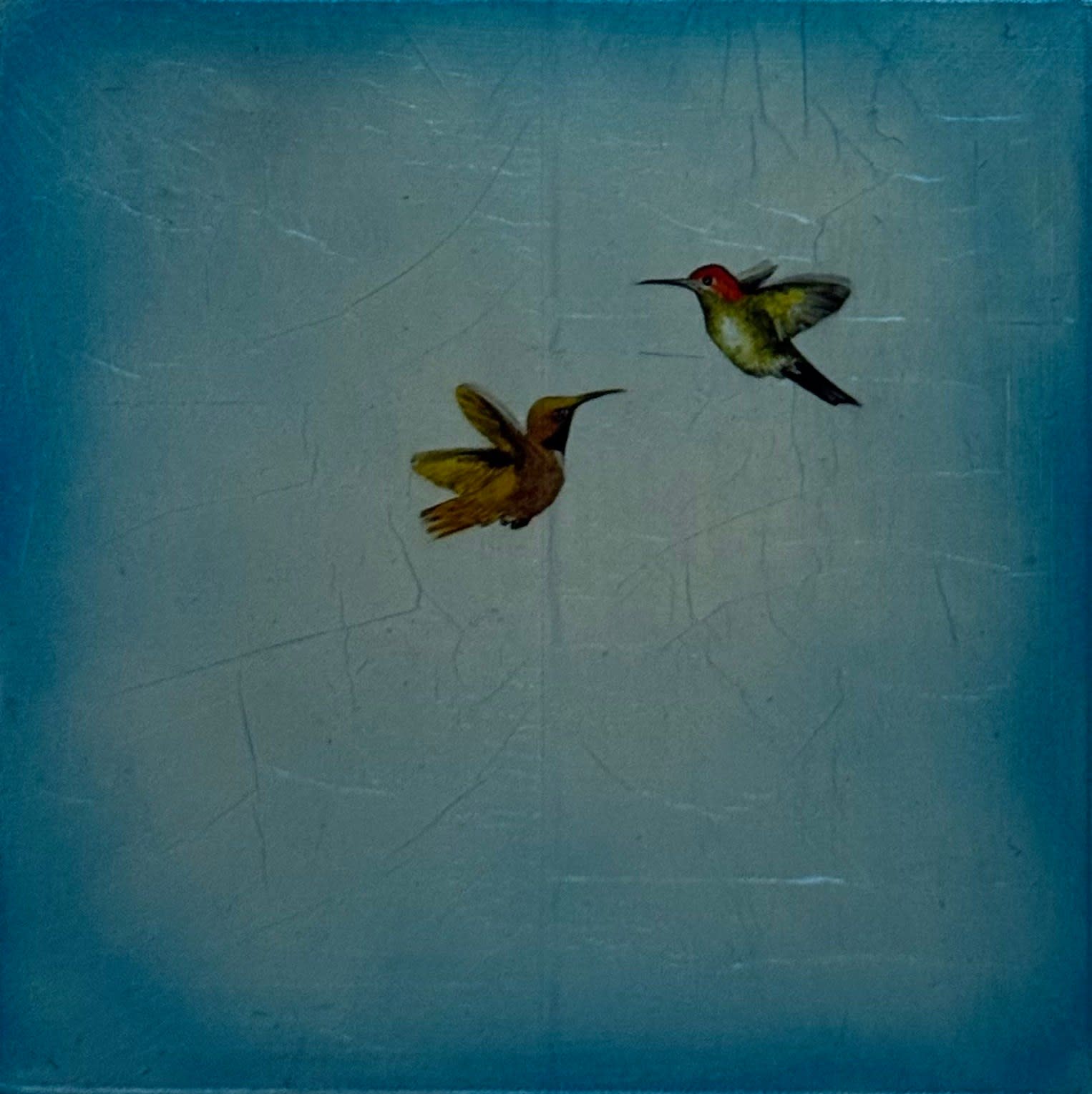 Carolyn Reynolds, Birds in Blue, 2025