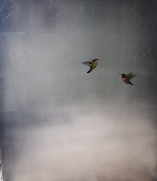 Carolyn Reynolds, Two Hummers in Smokey Skies, 2018
