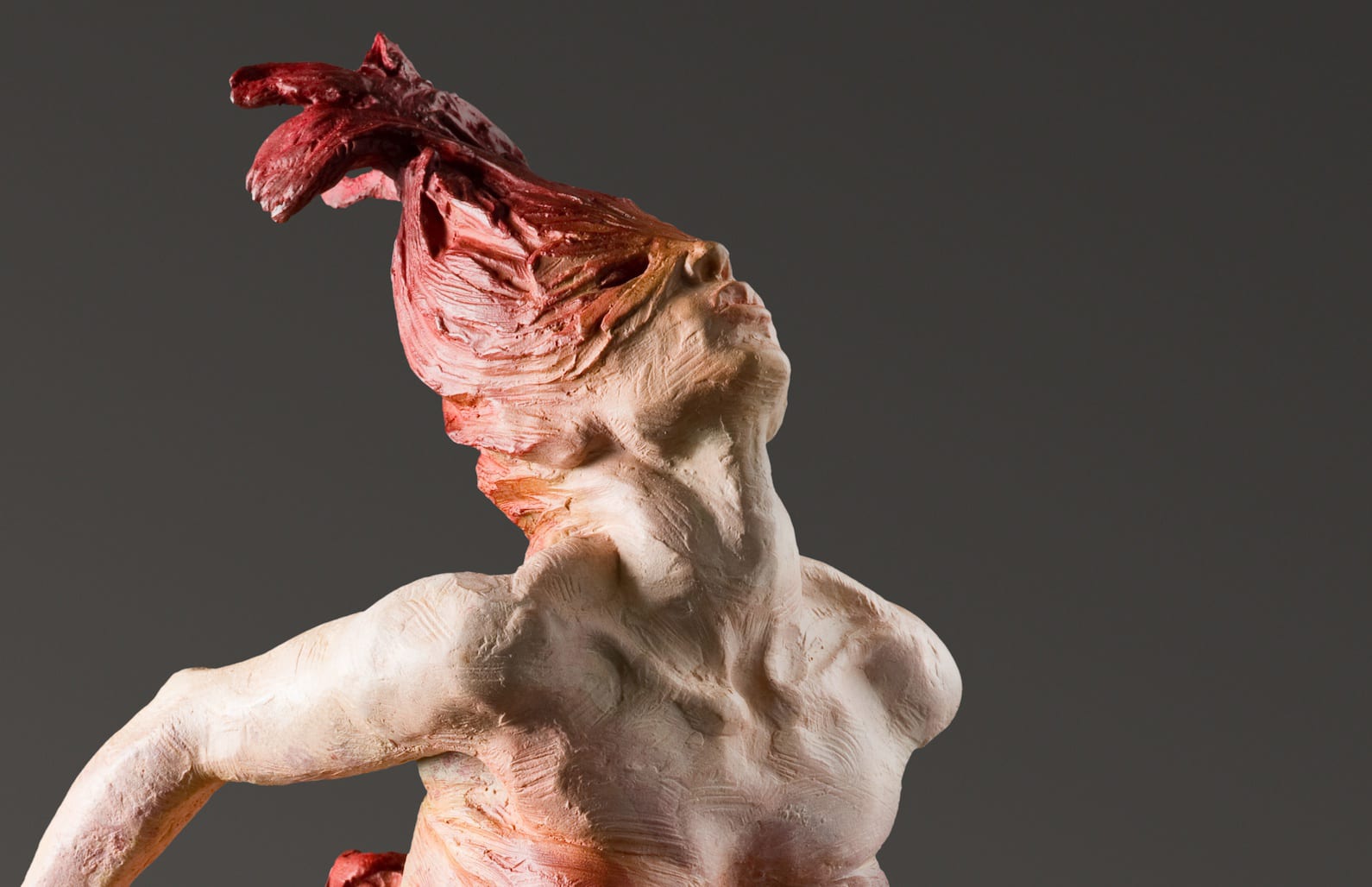Richard MacDonald, Brazilian Feathers, Red, 2015