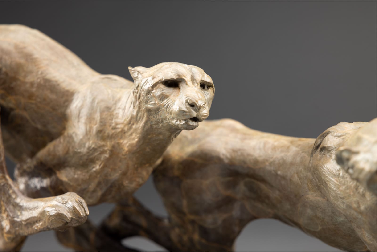 Richard MacDonald, Coursing Cheetahs, Atelier, 2024