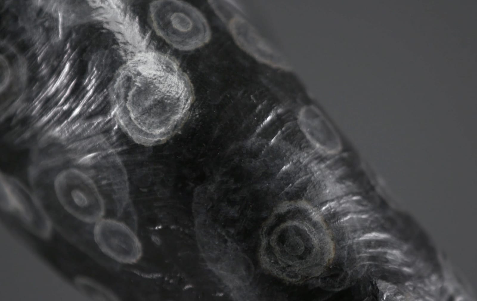 Richard MacDonald, Midnight, Half life, 2002