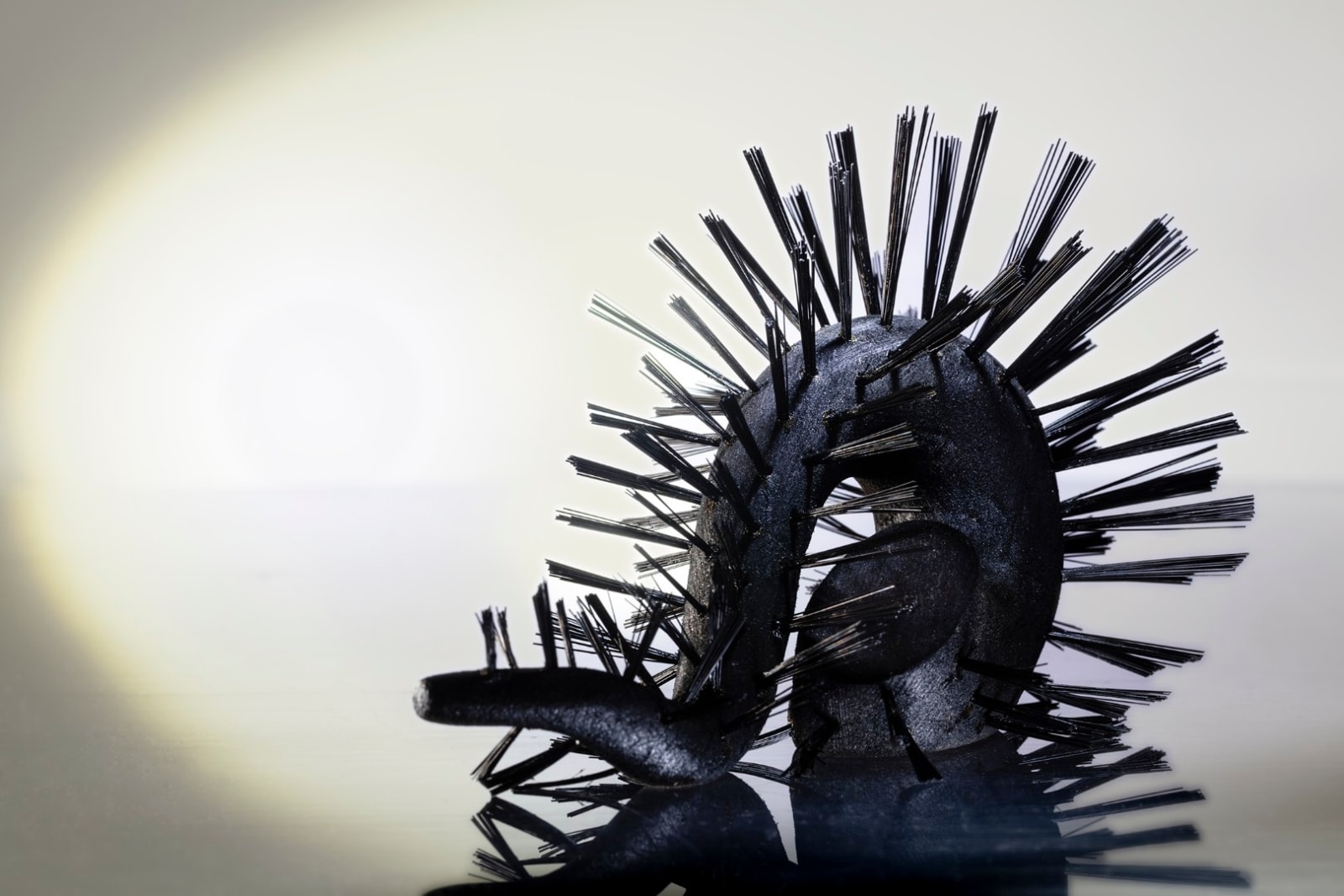 Kate Stehr, Phyllodocida III