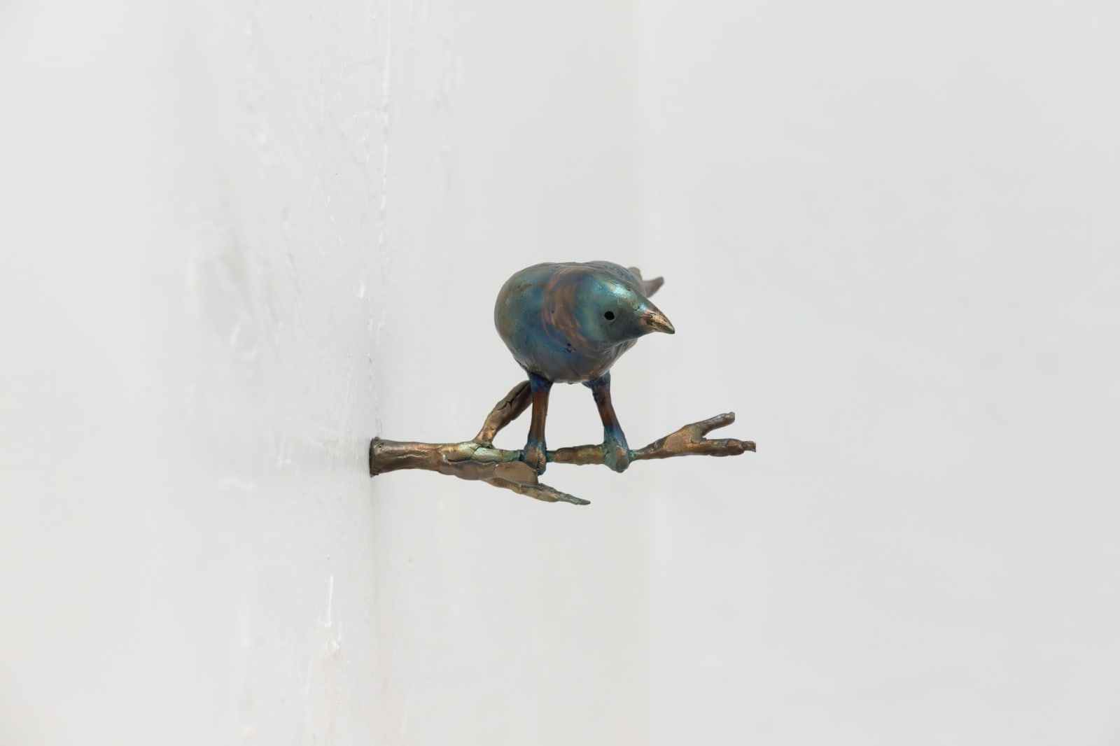 Leeroy Chapman, Gouldian Finch