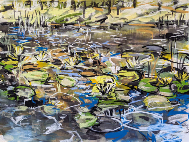 Tim Allen, Dam and Waterlillies, 2024