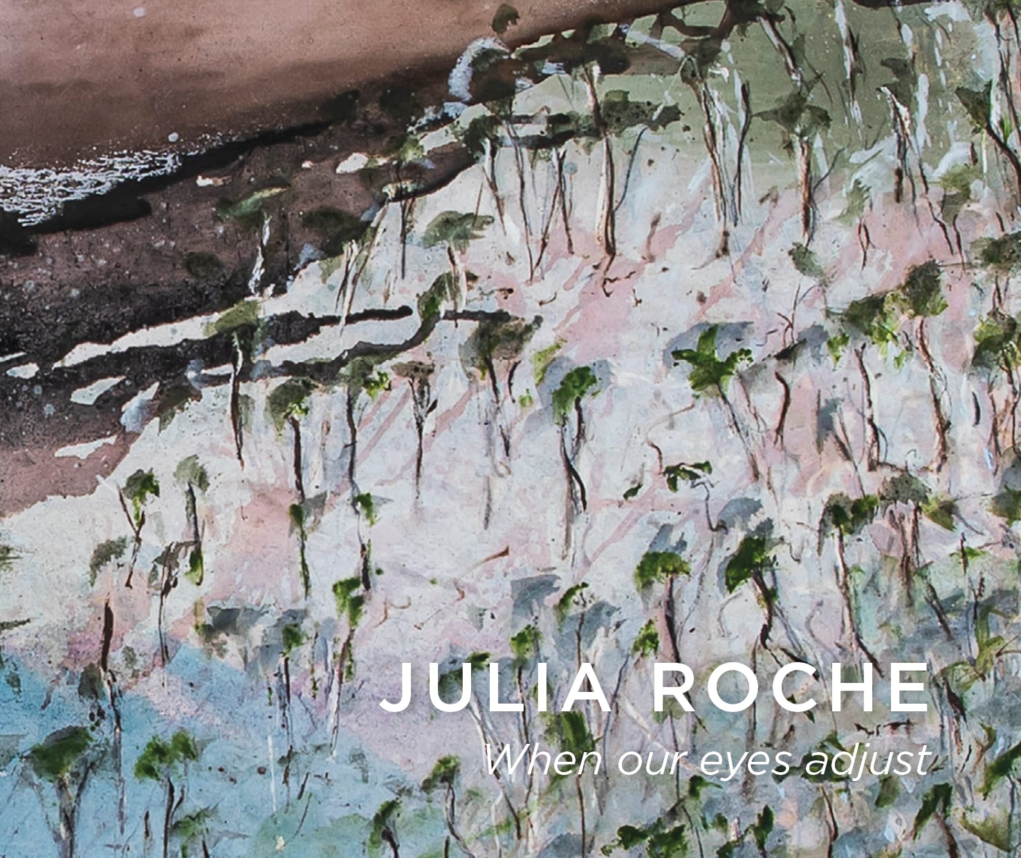 Julia Roche, When our eyes adjust Exhibition Catalogue, 2024