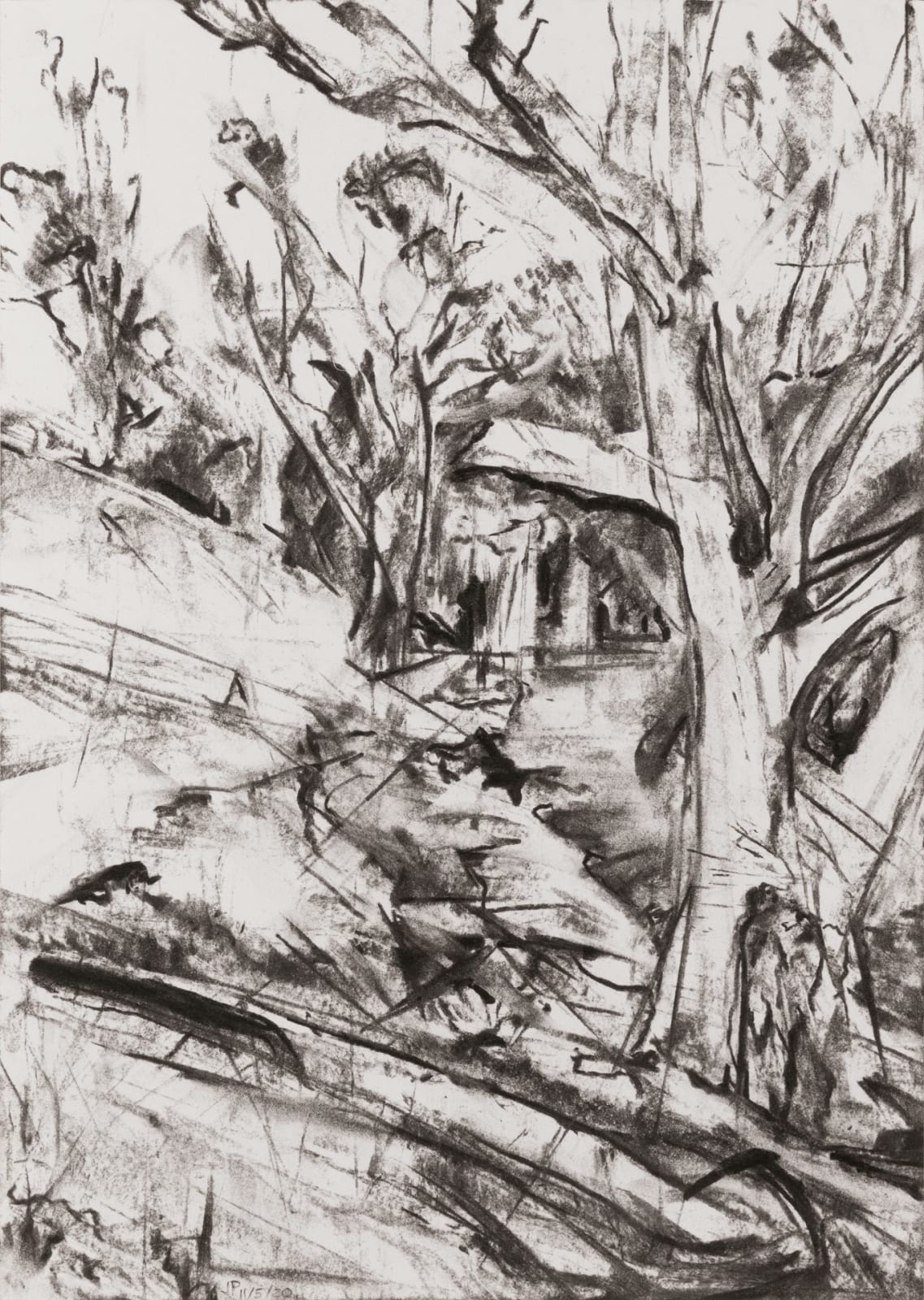 Julien Playoust, Heading out the back III, old man tree II, 2020