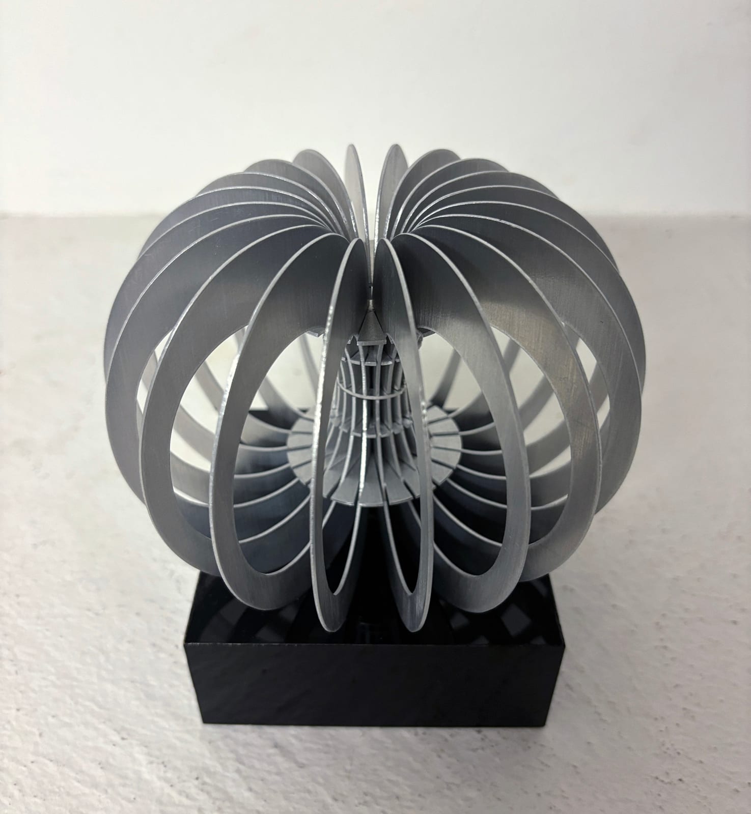 Helena Lillywhite, Micro Torus