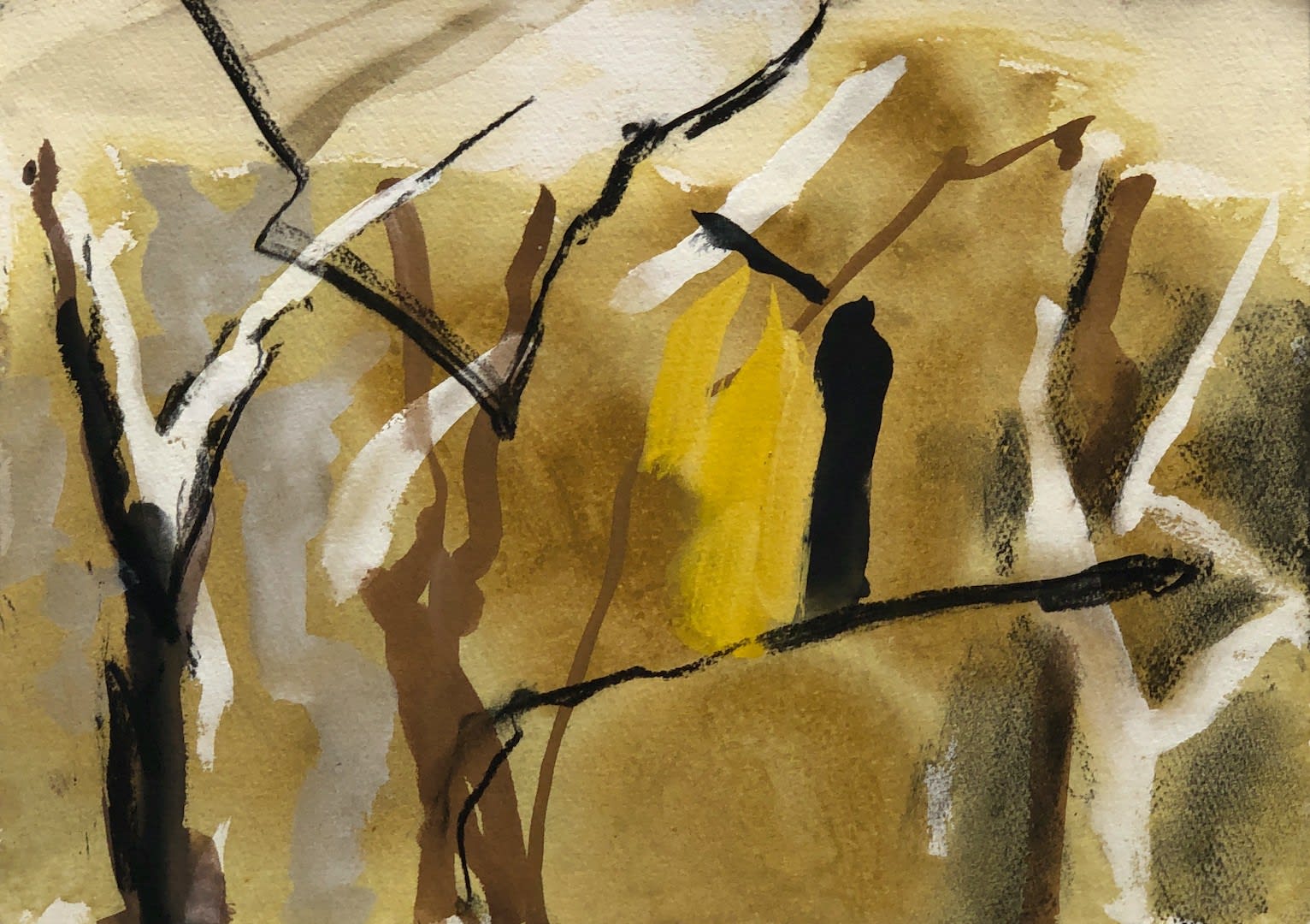 David Collins, Gully Lines, 2024