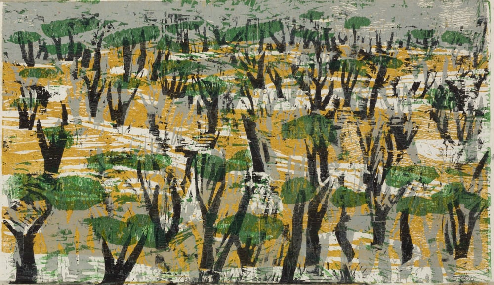 Joe Furlonger, Central Queensland Landscape IV, 2004