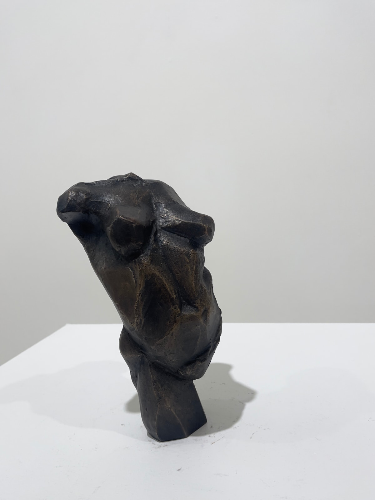 Clara Hali, Venus Rising, 2015