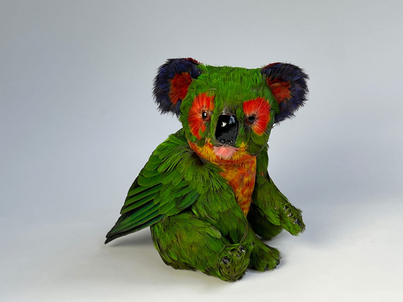 Emily Valentine, Lorikoala (sitting), 2025