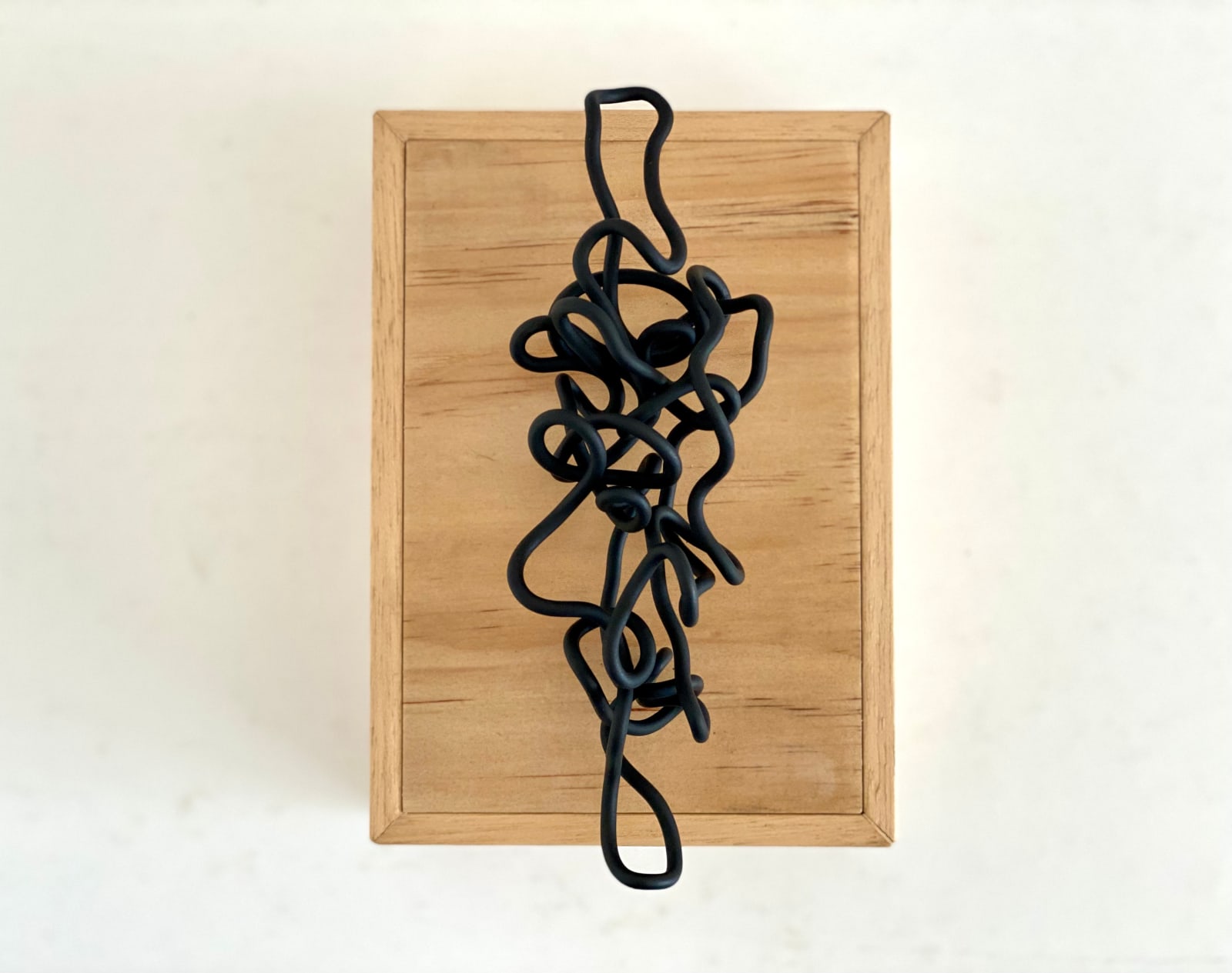 Tony Tozer, Entwined II