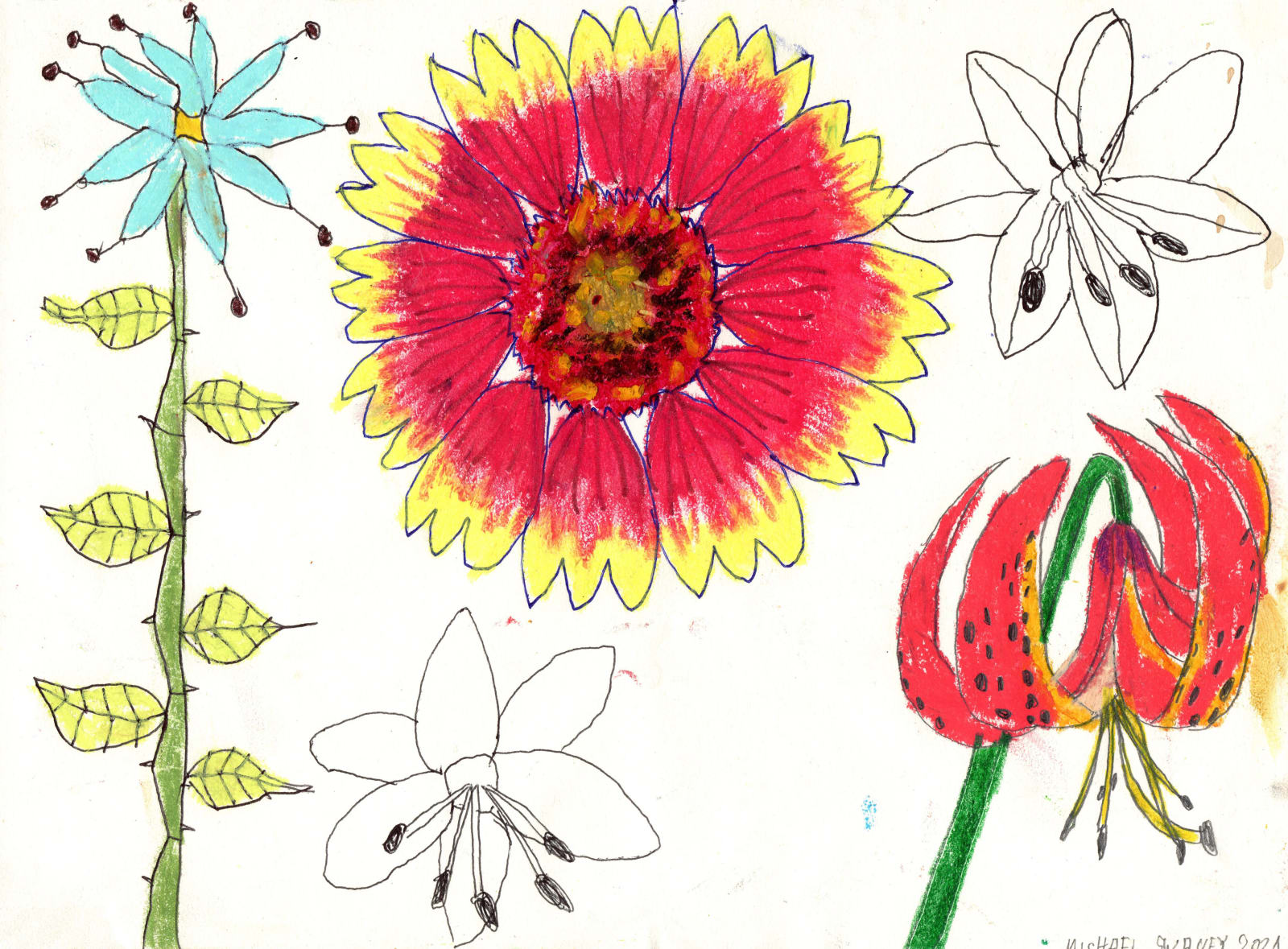 Mike Swaney, MS0045 Mixed flor, 2021