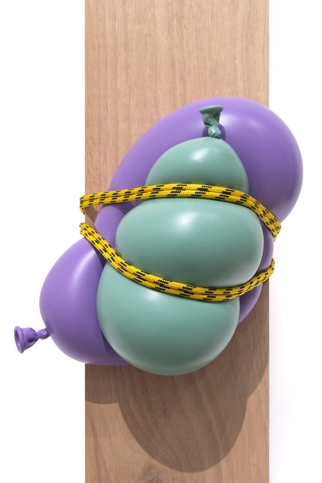 Nano Abia, Dos cuerpos (Calypso mittlel, Lila), 2024