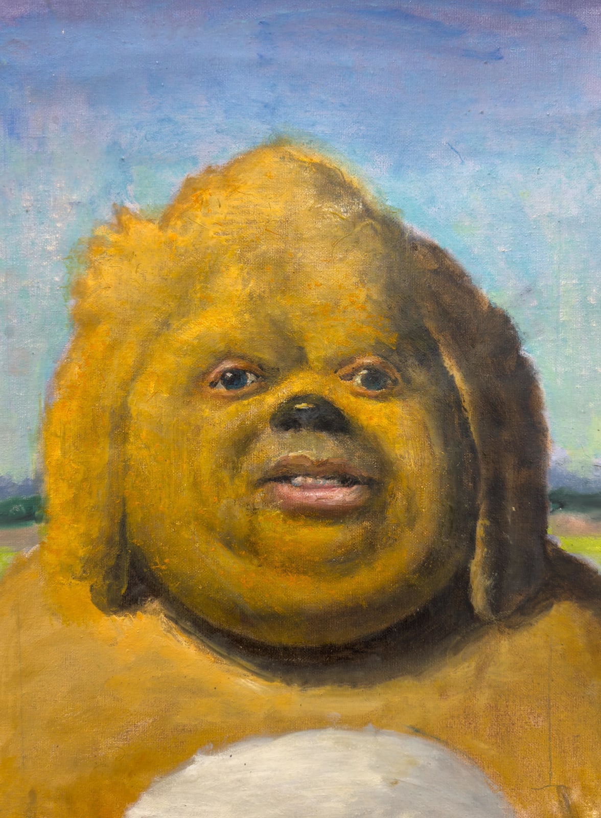 Mr. Kern, Gordoperro, 2024