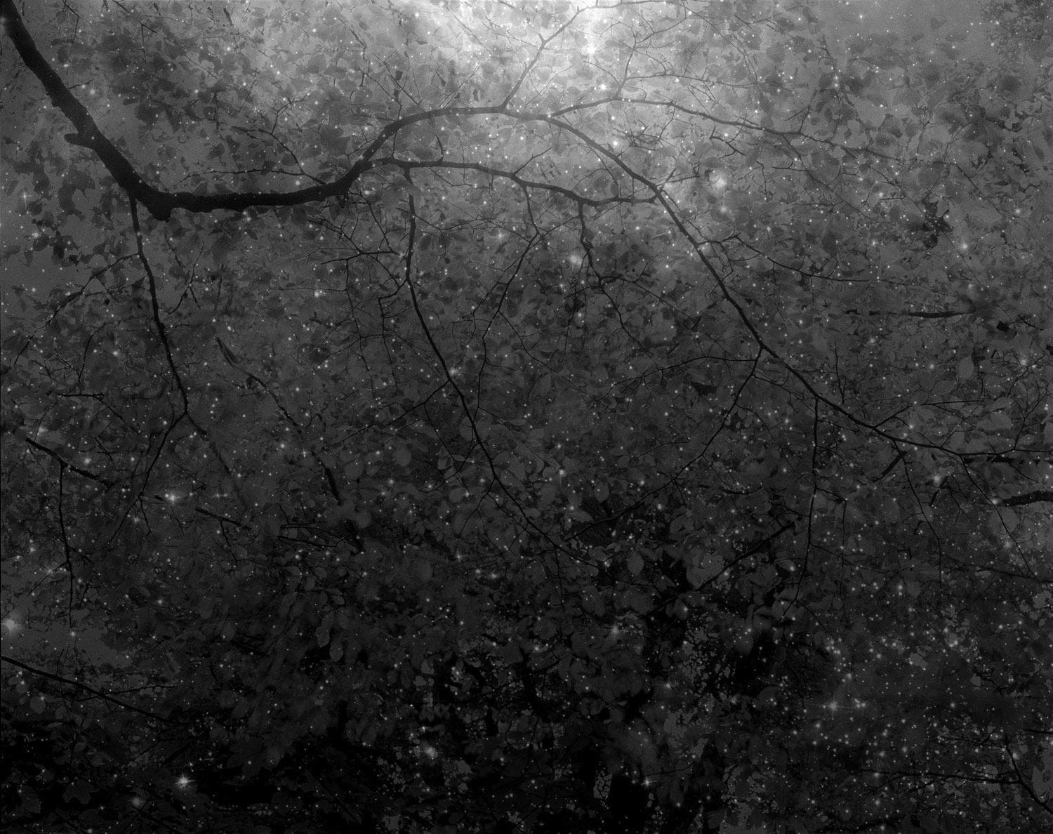 Nicholas Hughes, The Sound of Space Breathing [Verse III, no. 13], 2021