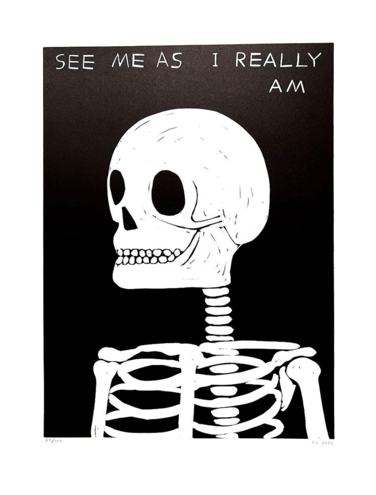 David Shrigley, See Me For Who I Really I Am, 2022