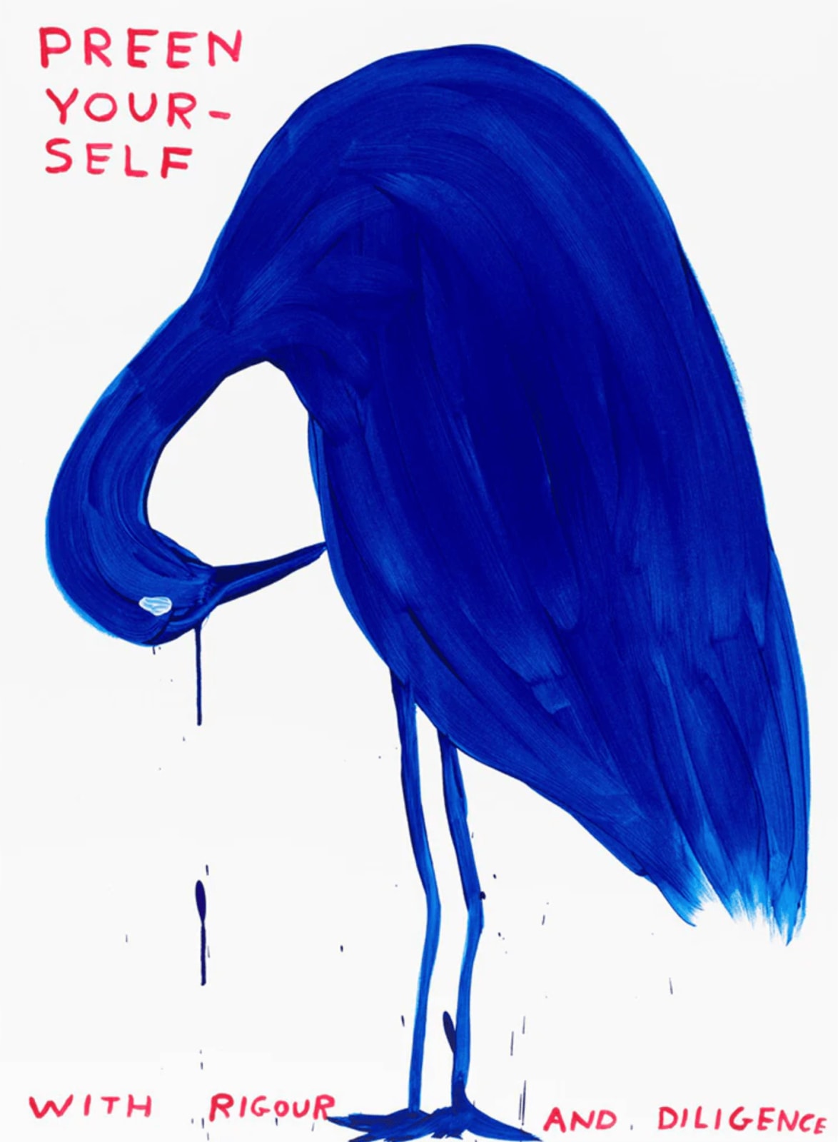 David Shrigley, Preen Yourself, 2023
