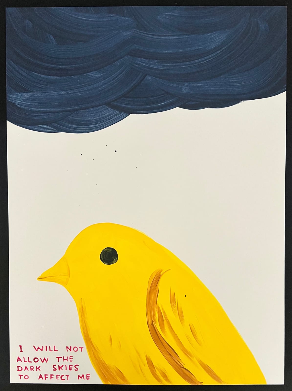 David Shrigley, I Will Not Allow The Dark Skies To Affect Me, 2025