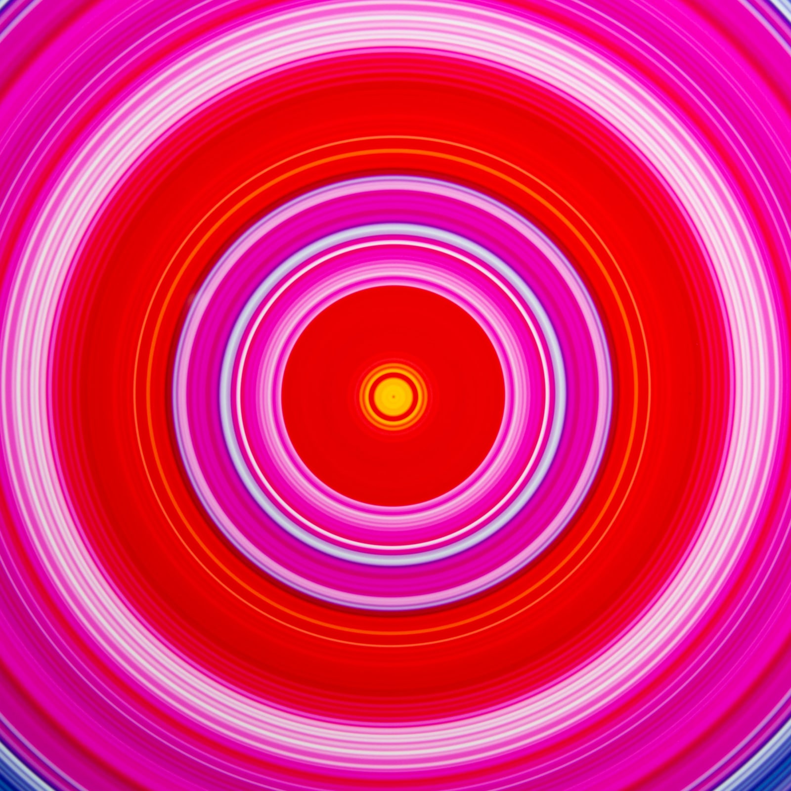 Rob and Nick Carter, Small Spectrum Circle, 2020