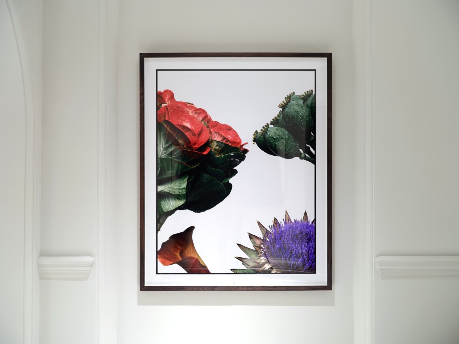 David Bailey, Four Cropped Flowers [large], 2008