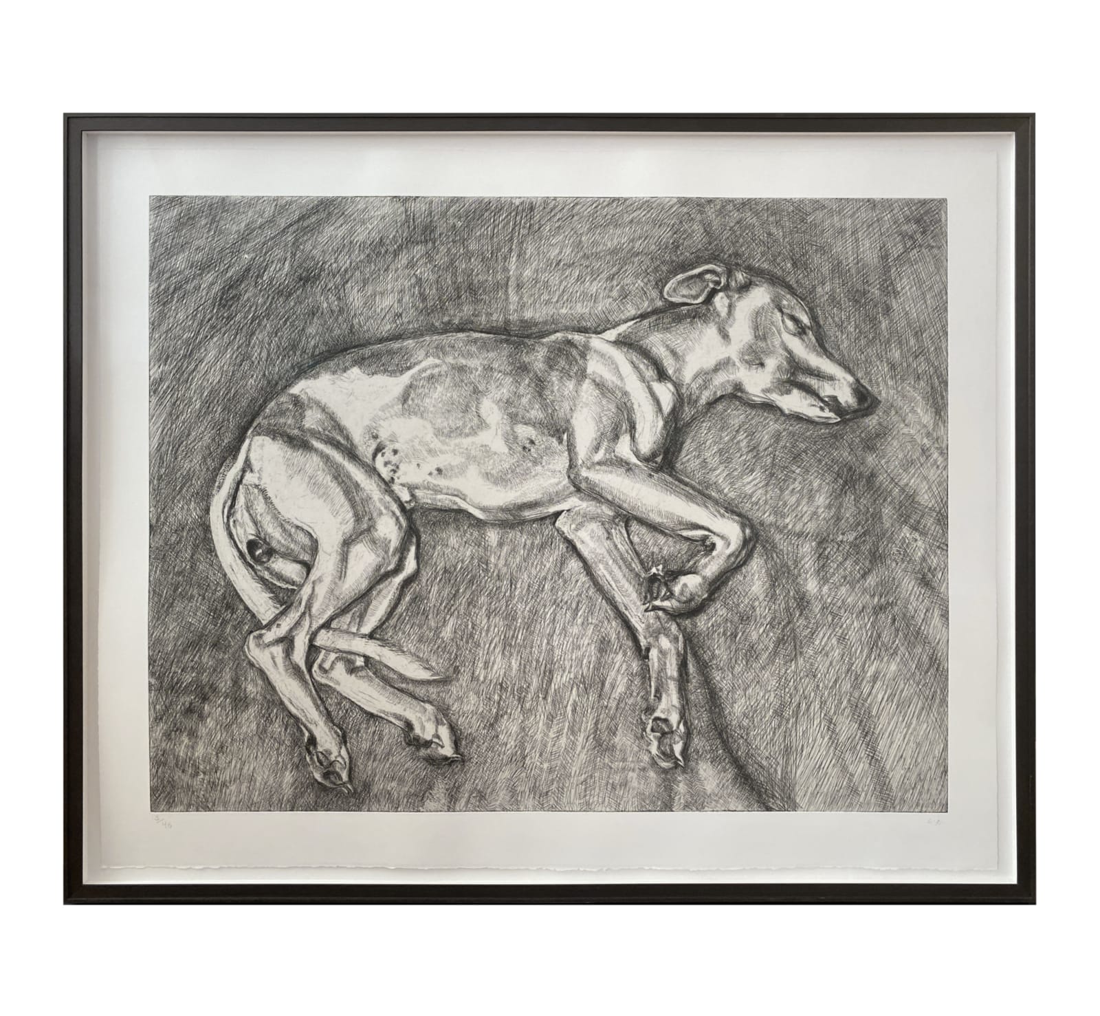 Lucian Freud, Eli, 2002