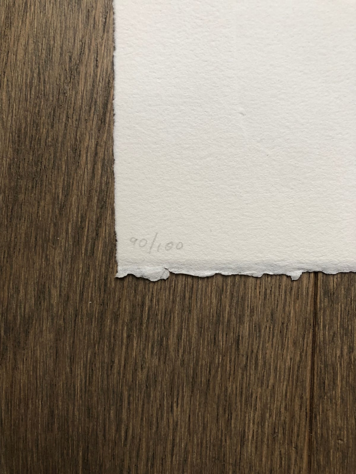 David Shrigley, The Paper Weighs Nothing, 2014