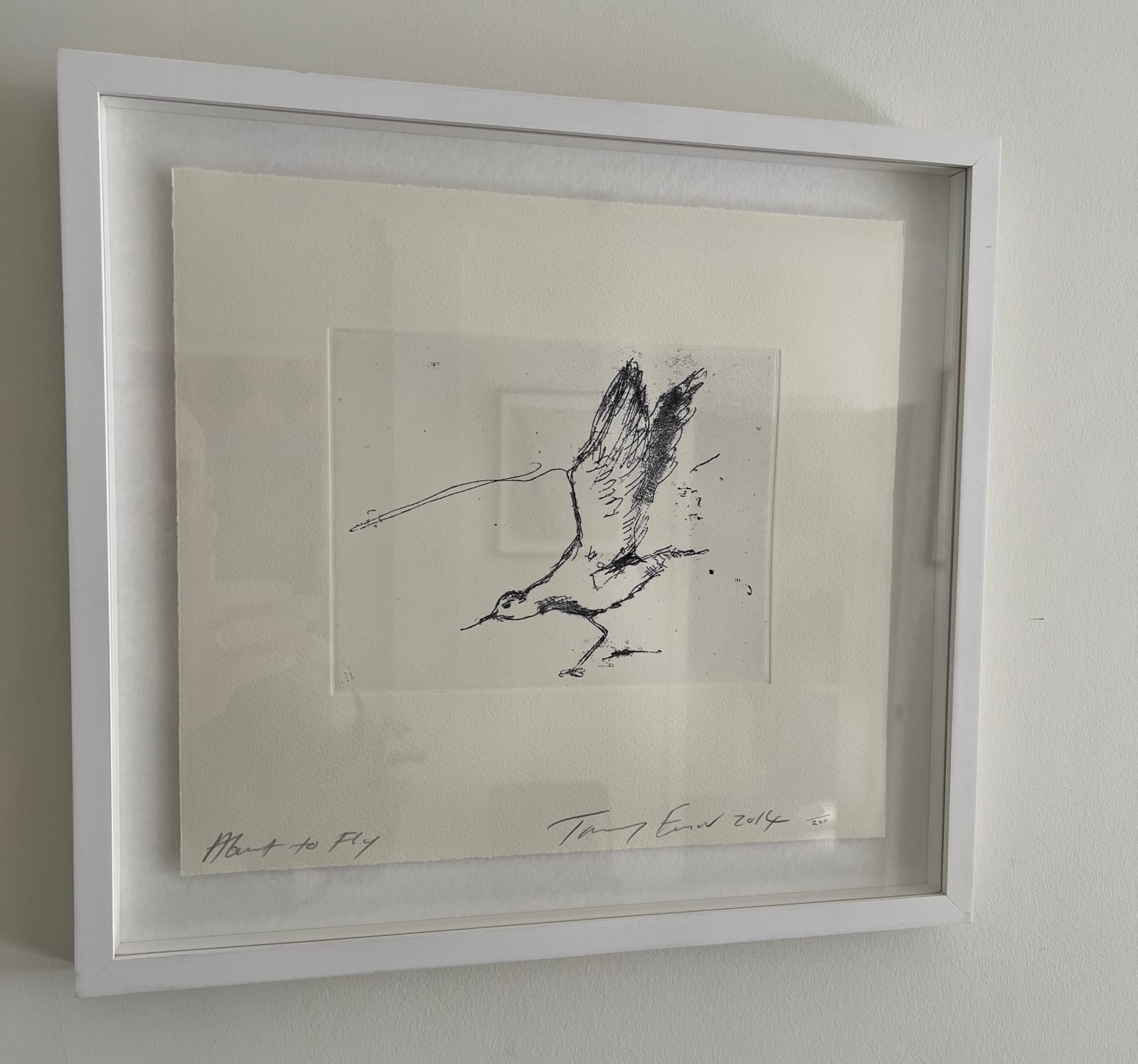 Tracey Emin, About to Fly, 2014