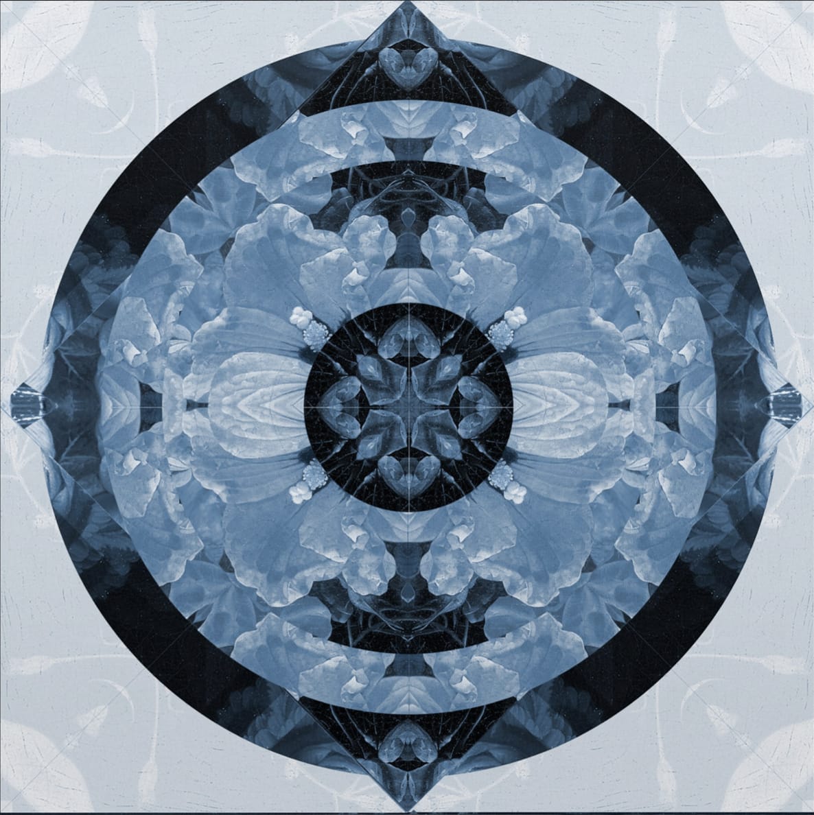 James Rawson, Compass, 2021