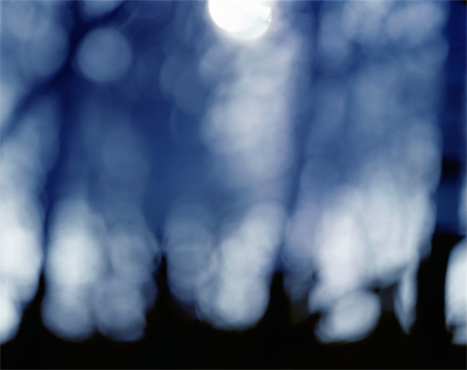 Nicholas Hughes, Aspects of Cosmological Indifference [Verse I, no. 12], 2011
