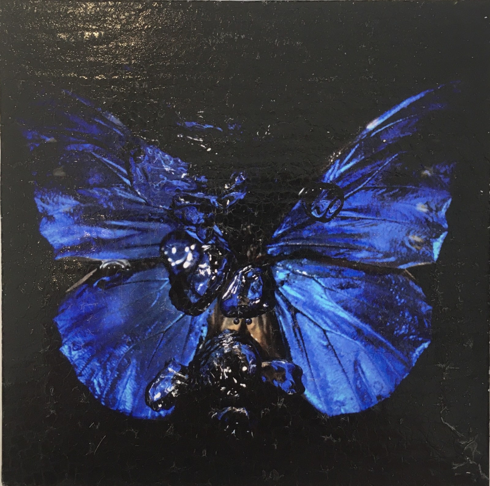 Alexander James Hamilton, The Mirror of the Goddess (1219-20), 2019