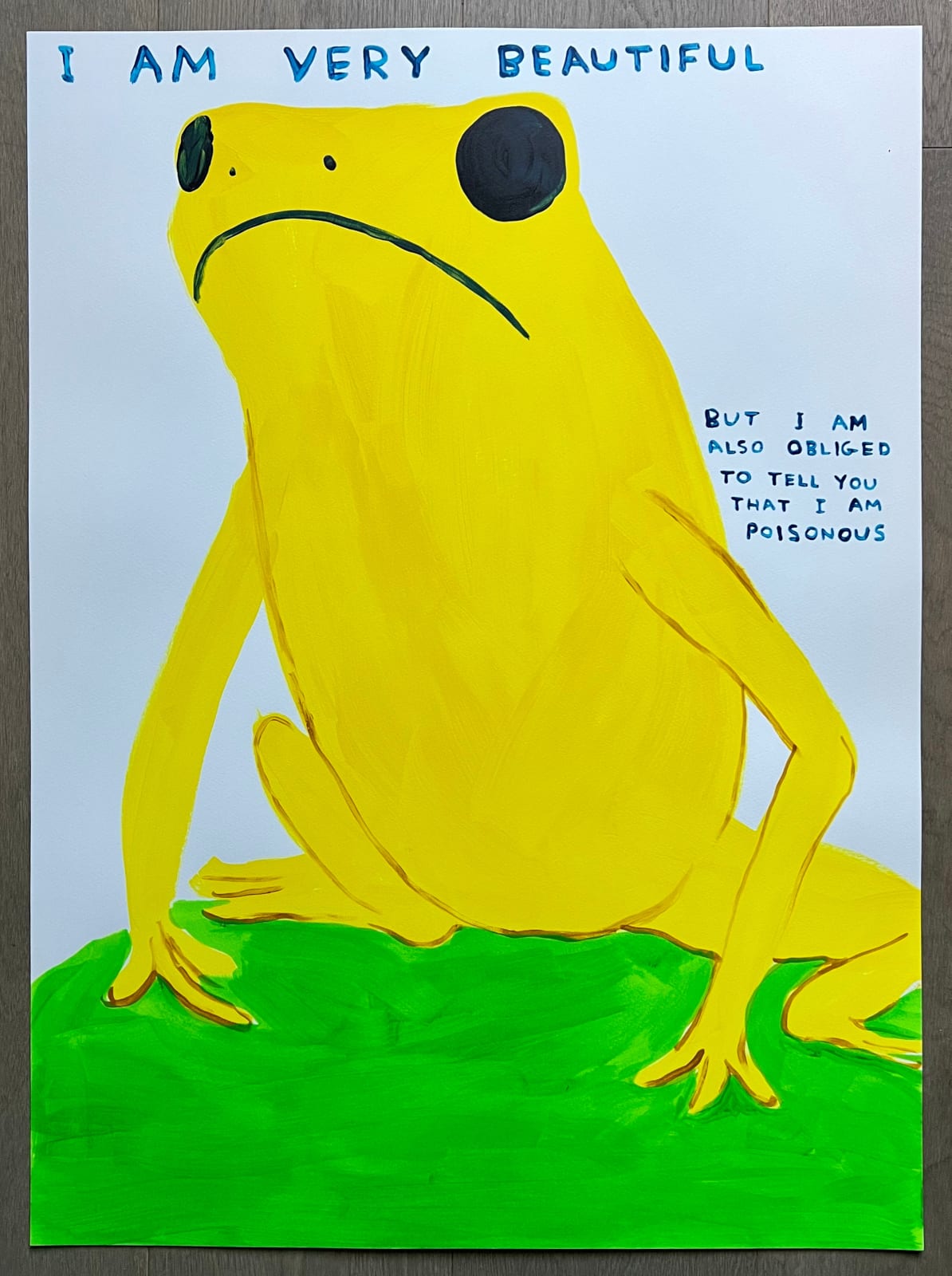 David Shrigley, I am Very Beautiful, 2025