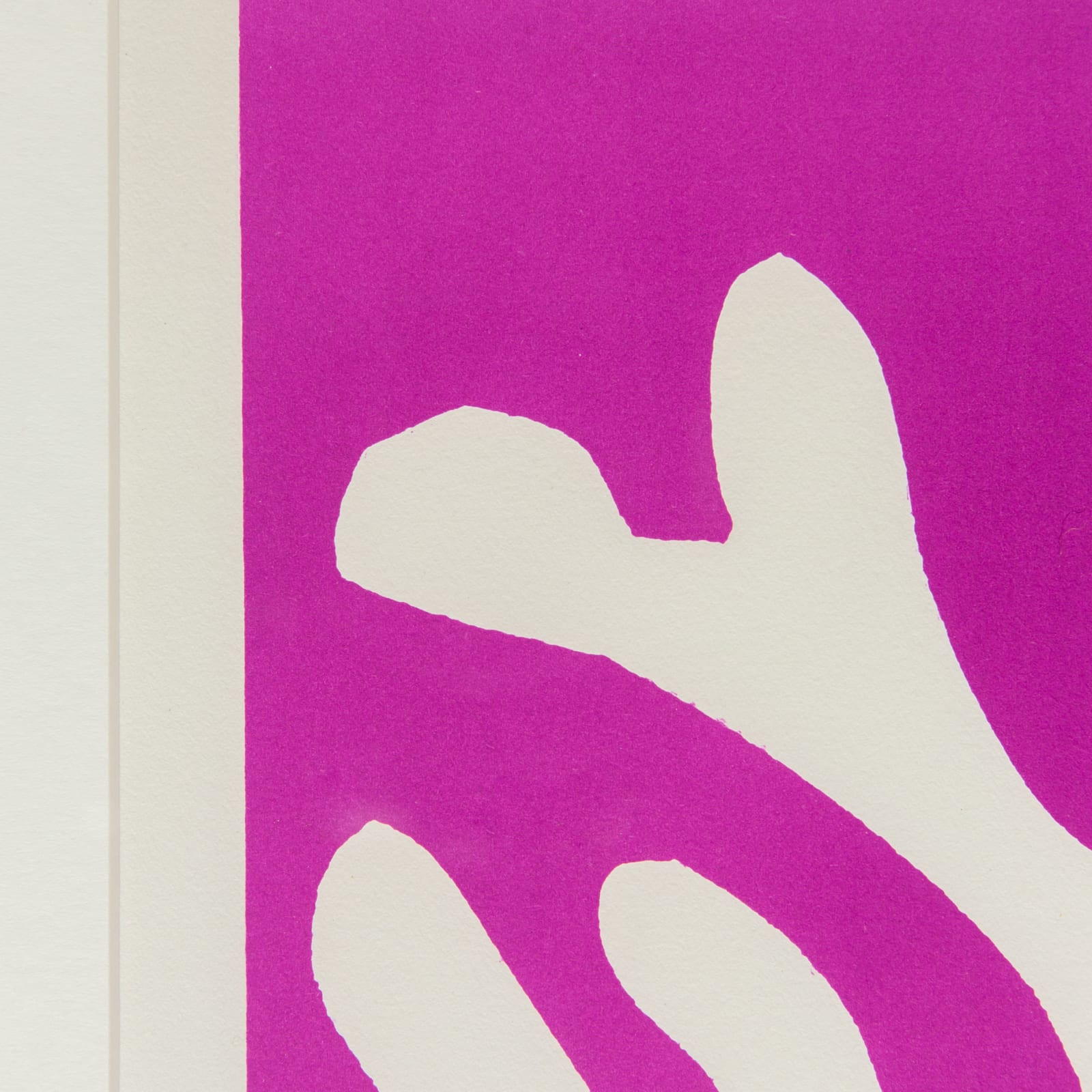 Henri Matisse, Algue Blanche sur fond Viole, 1960