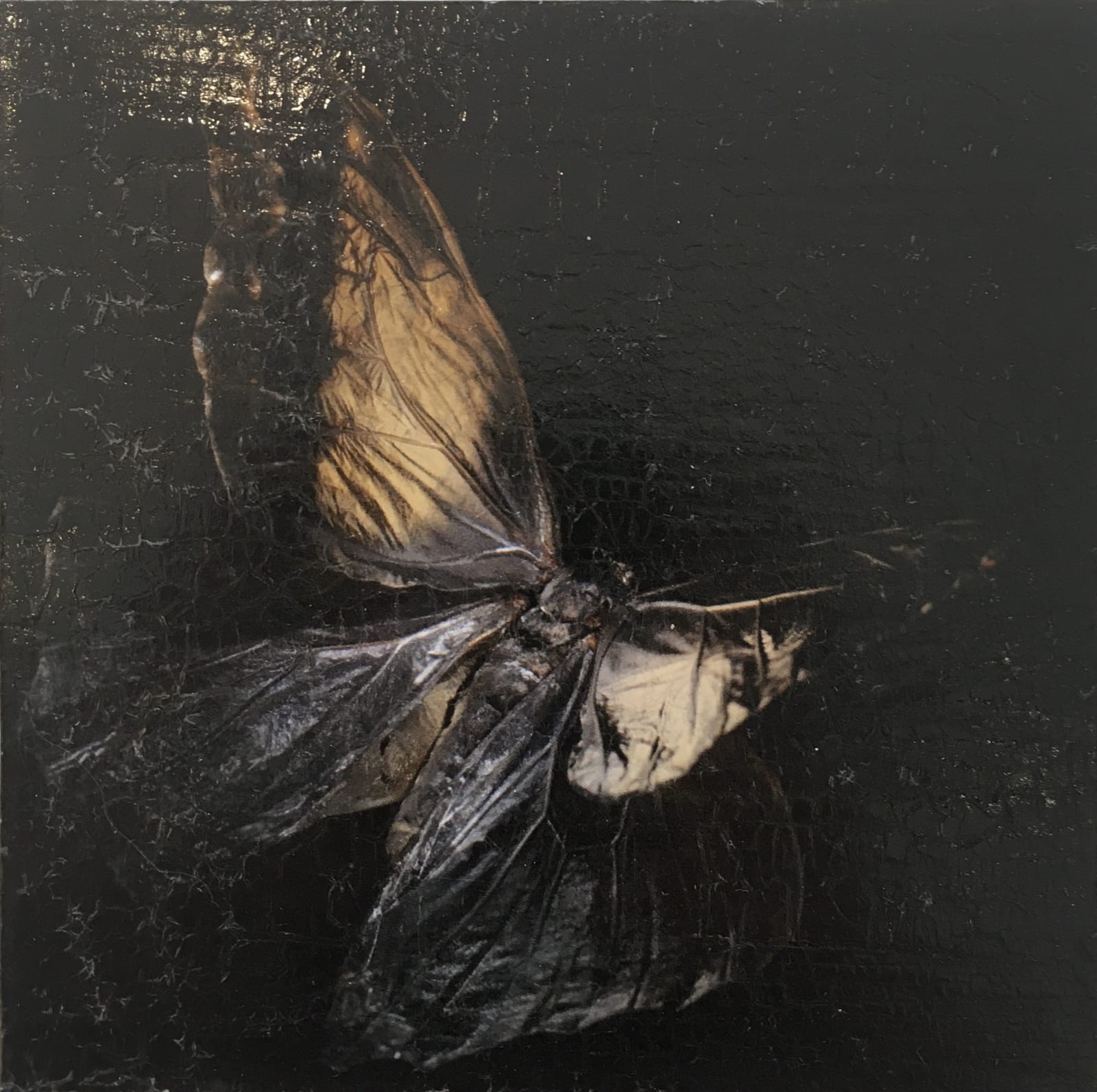 Alexander James Hamilton, The Mirror of the Goddess (1219-22), 2019
